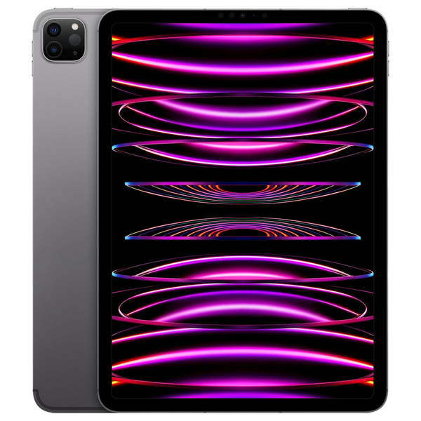 iPad Pro 6 (2022) 12,9 inch 256GB Spacegrijs